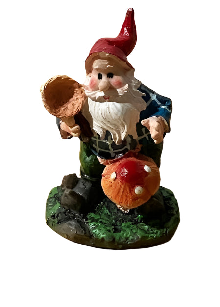Miniature Gnome Standing with a Net, Fairy Garden Gnome, 3