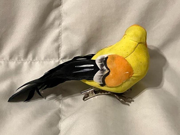 Pair of Yellow, Orange and Black Birds, 4.5