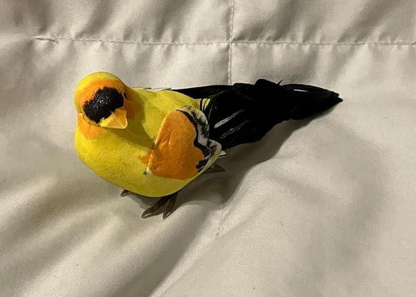 Pair of Yellow, Orange and Black Birds, 4.5