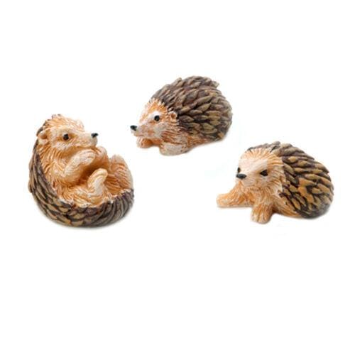 Miniature Hedgehog Set