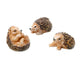 Miniature Hedgehog Set