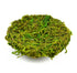Green Moss Nest