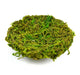 Green Moss Nest