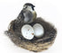 Artificial Nest with Guinea Bird, 2 Eggs and Feathers