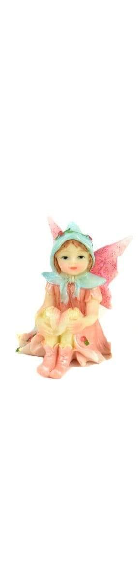 Hooded Fairy in Coral