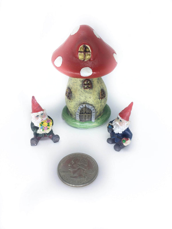 Mushroom House with Mini Gnomes,  Micro Mini House with Gnomes,  Terrarium House