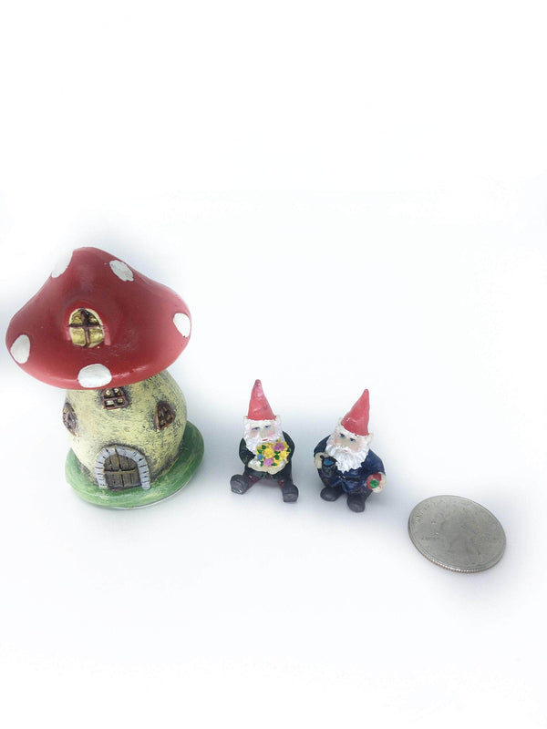 Mushroom House with Mini Gnomes,  Micro Mini House with Gnomes,  Terrarium House