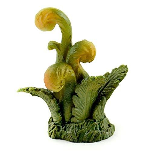 Choice of Tropical Island Plant