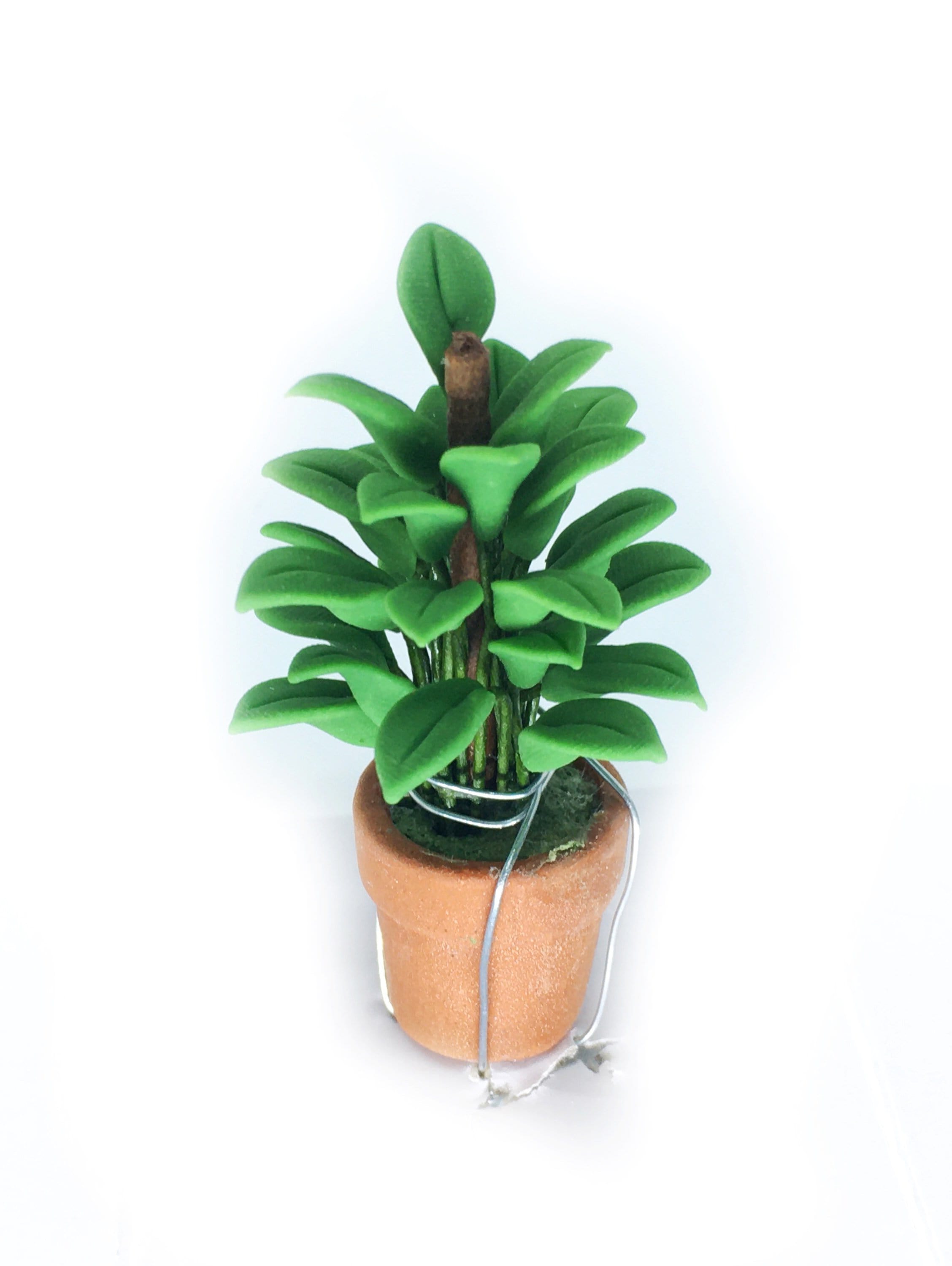 Choice of Artificial Philodendron or Fern