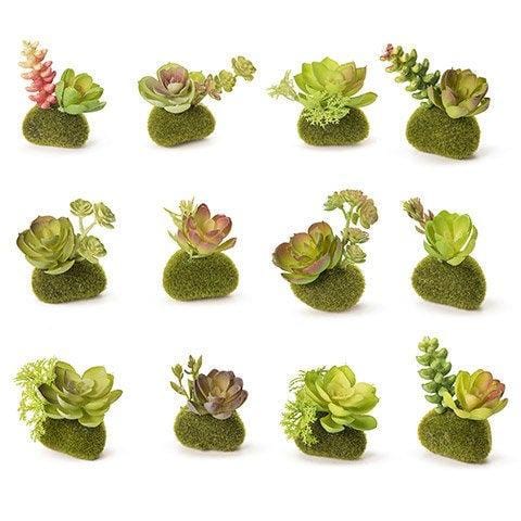 Artificial Succulent on Moss Pair