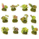 Artificial Succulent on Moss Pair