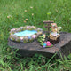Frog Prince Fairy Garden Kit
