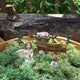 Flowers for Sale Fairy Garden Kit