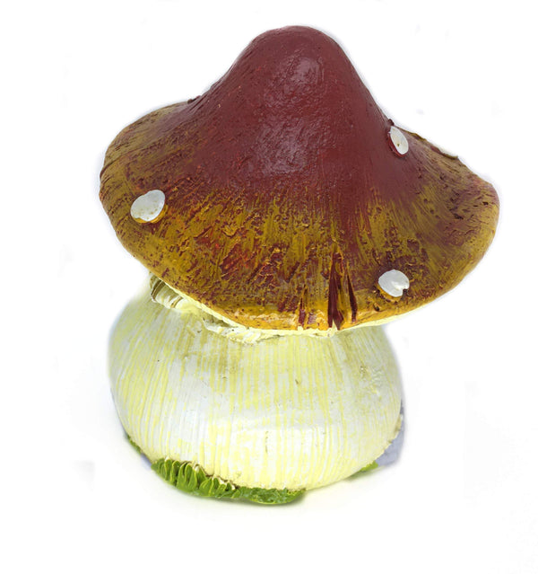 Pointed Topped Mushroom House