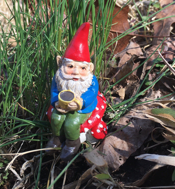 Gnome with Coffee, Soren the Caffeinated Gnome on a Pick, 2.75" Gnome Sitting on a Mushroom