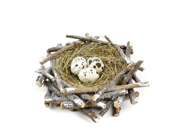 Yellow and Gray Bird with Nest and Spotted Eggs,  Stick Nest with a Clip-on Bird