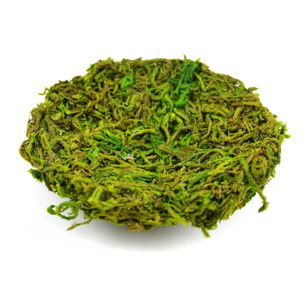 Red Baby Dragon Hatchling in a Green Nest, Dragon Egg Hatching
