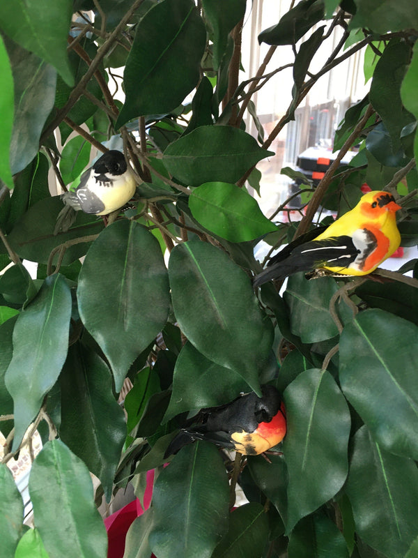 Artificial Bird Set,  3.25