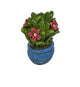 Miniature Red Flowers in a Blue Pot