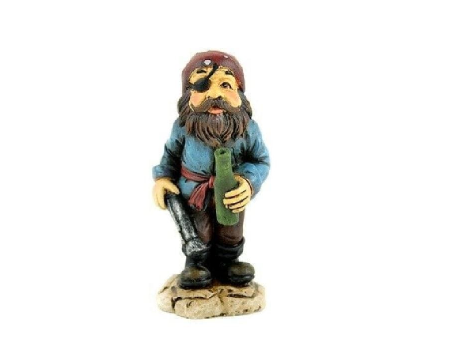 Pirate Holding a Bottle