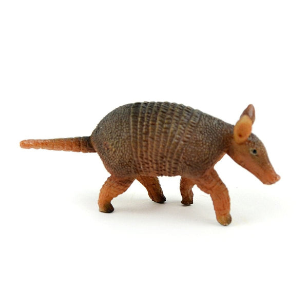 Armadillo