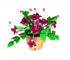 Artificial Fuchsias in a Pot, Miniature Pink Flowers, Dollhouse Florist Shop Flowers