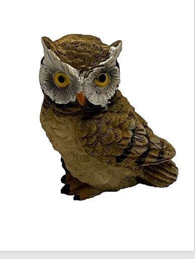 Miniature Brown Owl, 1