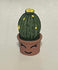 Miniature Artificial Cactus In a Pot, Miniature Plant, Fairy Garden Plant