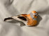 files/il_fullxfull.7905972606_knt3.jpg