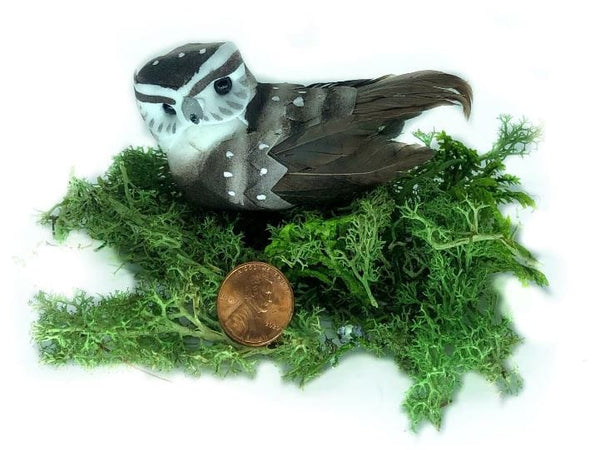 Brown and White Owl on a Clip