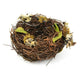 Brown Bird Nest with Lichen