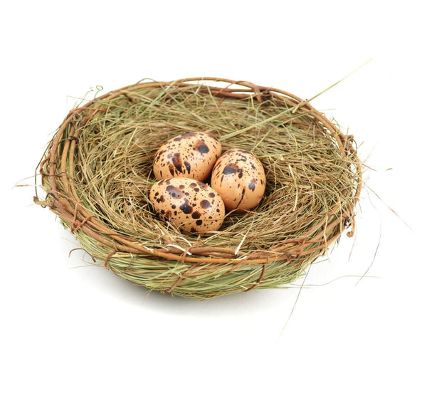 Bird Nest with Speckled Eggs