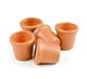 Set of 5 Miniature Terracott Plant Pots
