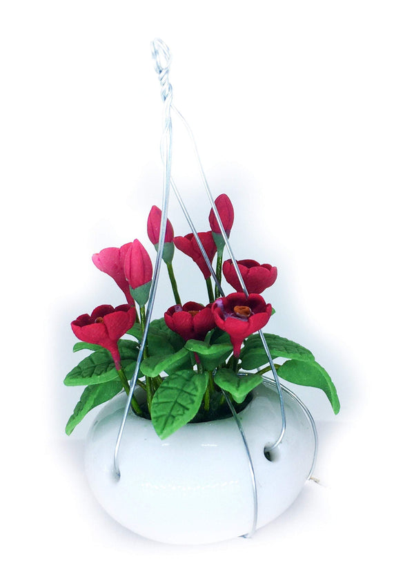 Choice of Hanging Plants in White Ceramic Pots
