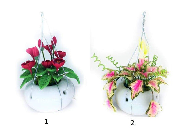 Choice of Hanging Plants in White Ceramic Pots