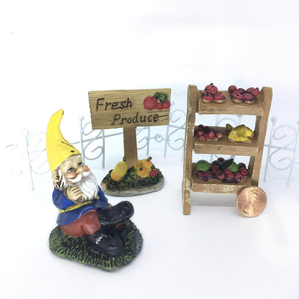 Gnome Fruit Market Fairy Garden Kit