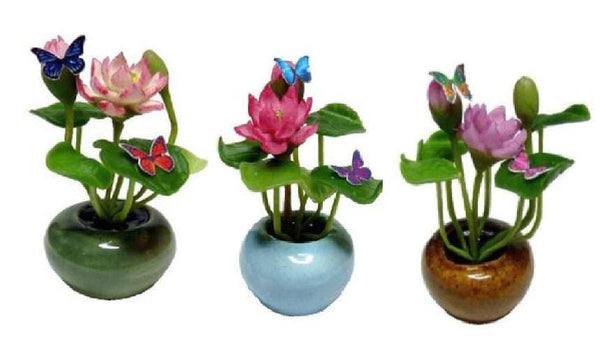 Choice of Dollhouse Water Lilies in a Bowl