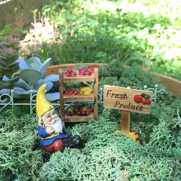 Gnome Fruit Market Fairy Garden Kit