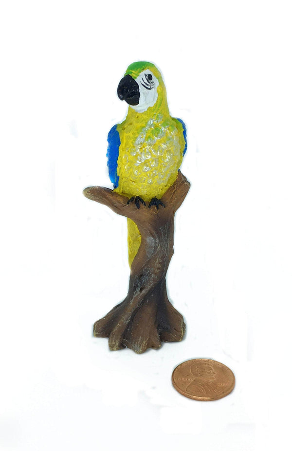 Miniature Parrot