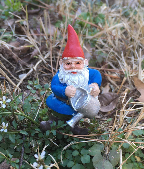 Gnome with Watering Can, Brolan the Watering  Gnome on a Pick, 2.75" Standing Gnome