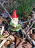 Gnome with a Bluebird, Sherman the Gnome on a Pick, 2.75" Standing Gnome