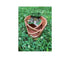 Solar Treehouse Planter, 9" Terra Cotta Pot with Miniature Treehouse, Fairy Garden Planter