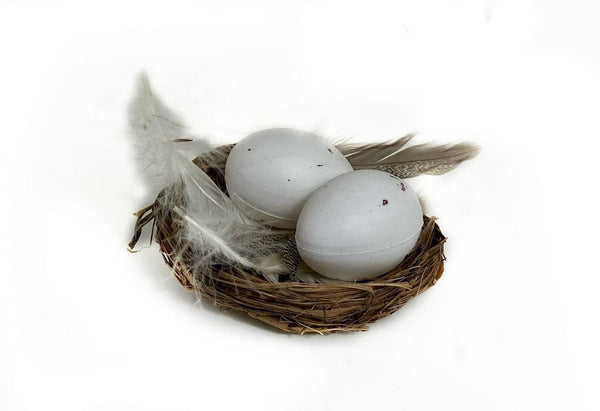 Brown Bird Nest with 2 Eggs and Feathers,  Artificial  Grass Nest, Create A Nest Kit