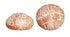 Dollhouse Miniature Bread, 2 Miniature Round Loaves of Bread, Dollhouse Kitchen
